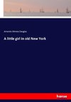 A little girl in old New York