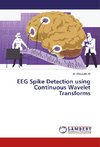 EEG Spike Detection using Continuous Wavelet Transforms