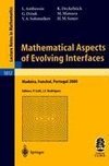 Mathematical Aspects of Evolving Interfaces