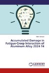 Accumulated Damage in Fatigue-Creep Interaction of Aluminum Alloy 2024 T4