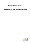 Three Boys in the Wild North Land