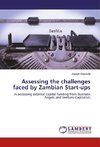 Assessing the challenges faced by Zambian Start-ups