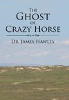 The Ghost of Crazy Horse