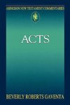 Abingdon New Testament Commentary - Acts