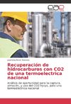 Recuperación de hidrocarburos con CO2 de una termoelectrica nacional