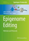 Epigenome Editing