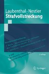 Strafvollstreckung