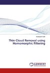 Thin Cloud Removal using Homomorphic Filtering