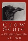 Crow Scare