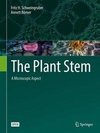 The Plant Stem