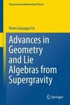 Advances in Geometry and Lie Algebras from Supergravity