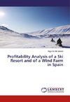 Profitability Analysis of a Ski Resort and of a Wind Farm in Spain