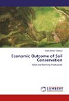 Economic Outcome of Soil Conservation