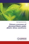 Primary processes of photosynthesis under abiotic stress conditions