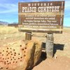 The Historic Pearce Cemetery