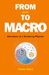 Vlatko, V:  From Micro To Macro: Adventures Of A Wandering P