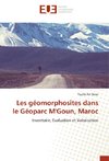 Les géomorphosites dans le Géoparc M'Goun, Maroc