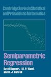 Semiparametric Regression