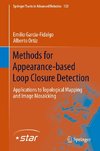 Methods for Appearance-based Loop Closure Detection