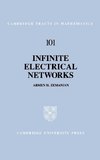 Infinite Electrical Networks