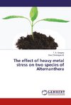 The effect of heavy metal stress on two species of Alternanthera