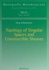 Topology of Singular Spaces and Constructible Sheaves