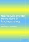 Neurodevelopmental Mechanisms in             Psychopathology