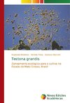 Tectona grandis