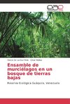 Ensamble de murciélagos en un bosque de tierras bajas