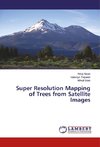 Super Resolution Mapping of Trees from Satellite Images