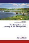 The Bangalore Lakes thriving in the antropocene