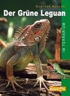 Der Grüne Leguan im Terrarium