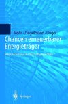 Chancen erneuerbarer Energieträger