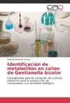 Identificación de metabolitos en callos de Gentianella bicolor