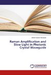 Raman Amplification and Slow Light in Photonic Crystal Waveguide