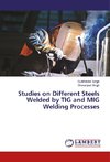 Studies on Different Steels Welded by TIG and MIG Welding Processes