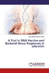 A Trial in DNA Vaccine and Bacterial Stress Responses in zebrafish