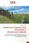 Production d'igname dans les jachères à Chromolaena odorata