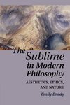 The Sublime in Modern Philosophy