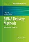 SiRNA Delivery Methods