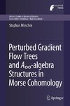 Perturbed Gradient Flow Trees and A8-algebra Structures in Morse Cohomology