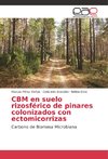 CBM en suelo rizosférico de pinares colonizados con ectomicorrizas