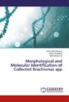 Morphological and Molecular Identification of Collected Brachionus spp