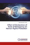 Effect of Declaration of State of Emergency on Human Rights Protection