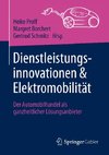 Dienstleistungsinnovationen und Elektromobilität