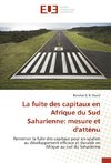 La fuite des capitaux en Afrique du Sud Saharienne: mesure et d'atténu