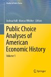 Public Choice Analyses of American Economic History