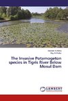 The Invasive Potamogeton species in Tigris River Below Mosul Dam