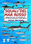 Squali del Mar Rosso