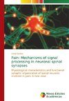 Pain: Mechanisms of signal processing in neuronal spinal synapses